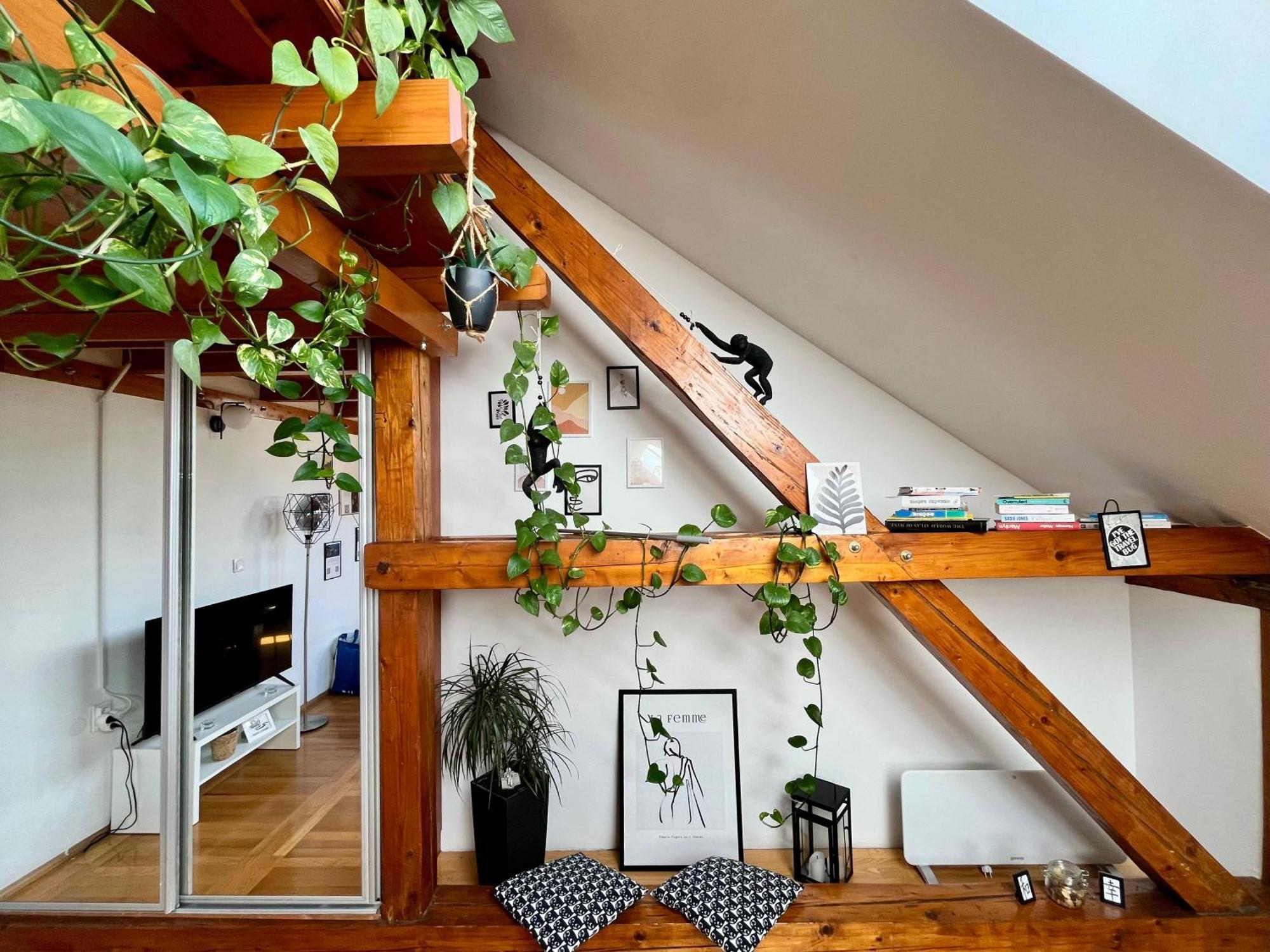Captain Misha'S Place Belgrad Exterior foto